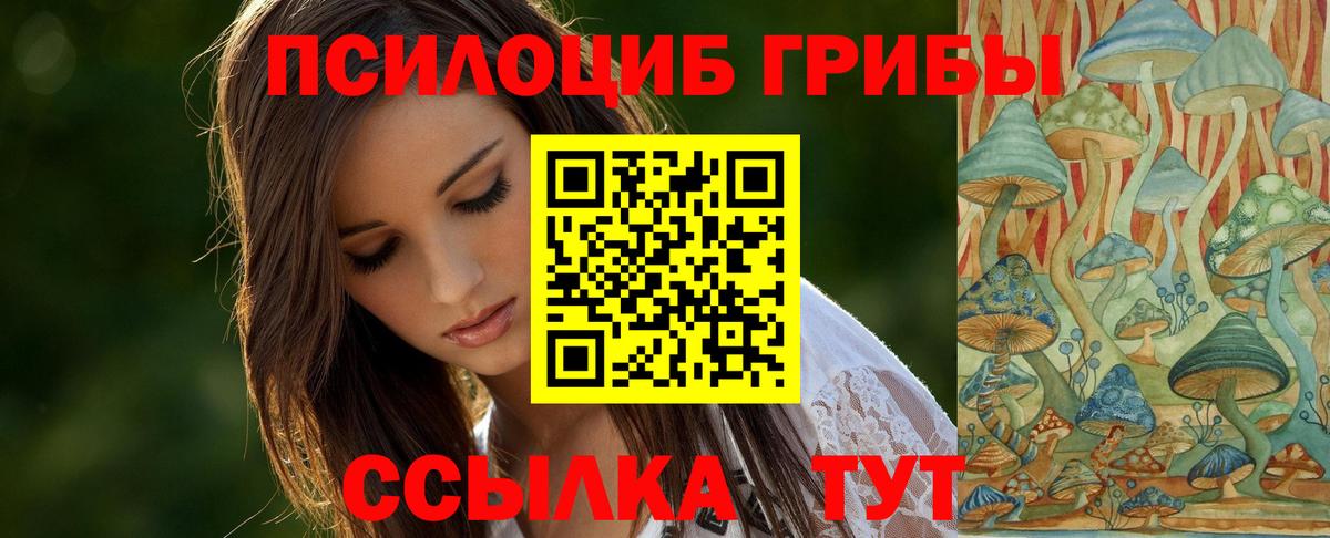 Ноябрьск  Псилоцибиновые грибы ЛСД  Вход с VPN 